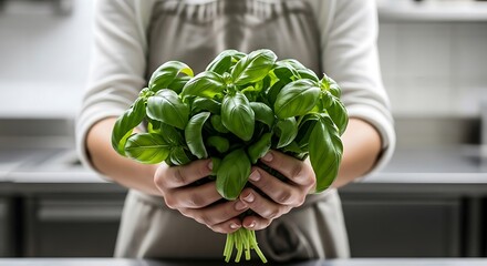 Close-up of hands holding fresh basil leaves in a kitchen studio, ultra-realistic texture, sharp focus, editorial lighting, face hidden.