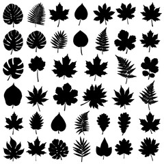 A diverse collection of black leaf silhouettes featuring various tree and plant species like maple fern and monstera.
