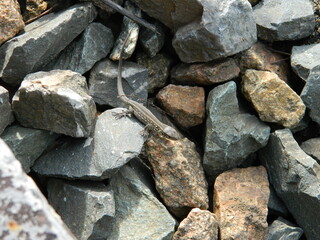 stone wall background