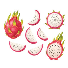 Dragonfruit Bundle—Dragonfruit, Half of Dragonfruit, Slice of Dragonfruit. Watercolor Illustration. Design Element. Clip art. Suitable for artwork design.