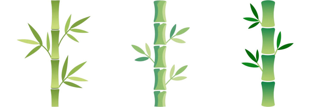 竹　植物　イラスト