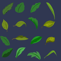 green leaves background
