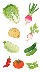 Hand-drawn illustration elements of various fresh vegetables, suitable for menus of vegetarian restaurants and healthy light meal shops, as well as promotion of agricultural product supermarkets.
