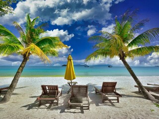 tropical beach 