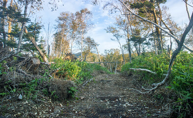 West Sakhalin Mountains. hill country. Rolling old mountains on Sakhalin Island are covered with...