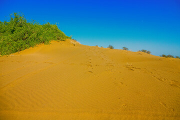 Types of landscape. Barchan dune. A seaside desert with thorny shrubs. Oman