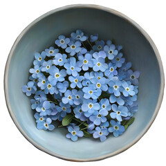 For get me nots in bowl