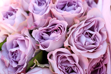 beautiful bouquet of fresh roses