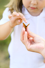 Child touching yellow butterfly in nature