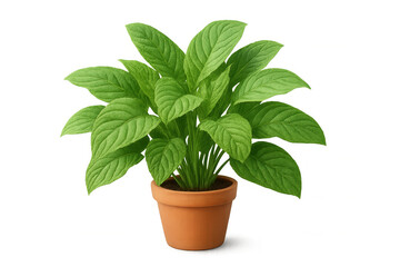 Fototapeta premium Lush green plant thrives in a simple terracotta pot, isolated on a transparent background, ready for integration into any design