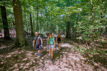 Obraz premium A group of people hiking through the forest and relaxing on a sunny summer day