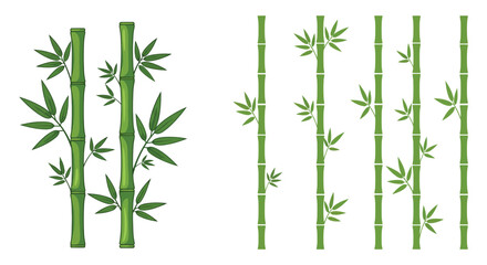 Bamboo Stalks and Leaves in a Green Asian Inspired Botanical Arrangement