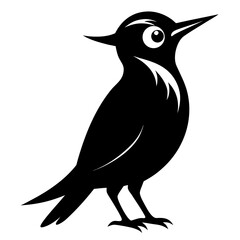 Treecreeper vector clean black silhouette design white background