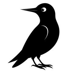 Treecreeper vector clean black silhouette design white background