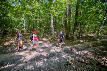 Fototapeta premium A group of people hiking through the forest and relaxing on a sunny summer day