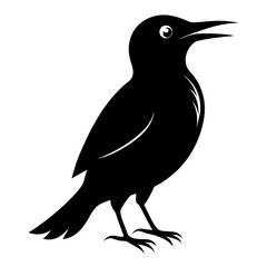 Treecreeper vector clean black silhouette design white background