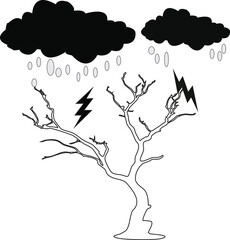 close up of dry branch
