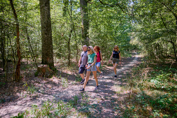 Obraz premium A group of people hiking through the forest and relaxing on a sunny summer day