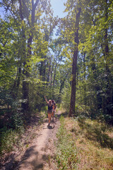 Obraz premium A group of people hiking through the forest and relaxing on a sunny summer day