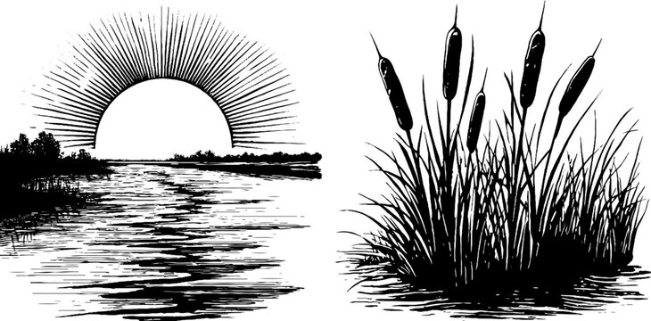Vintage engraved illustration set featuring sunset over river and cattails for retro design