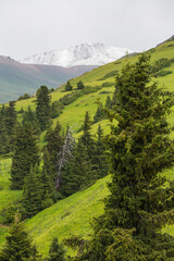 Terskey Ala-Too ridge of Tianshan Mountains in Kyrgyzstan