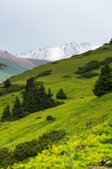 The Terskey Ala-Too in the Tian Shan mountains in Kyrgyzstan
