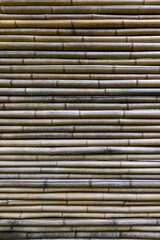 Natural background of horizontally stacked bamboo stalks captured in vertical frame with detailed organic texture