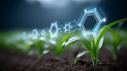 Live weather tracking virtual dashboard global overview interactive content digital environment real-time view weather forecast concept