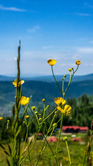 A stunning vertical view of rolling mountains under a clear blue sky, perfect for travel ads,...