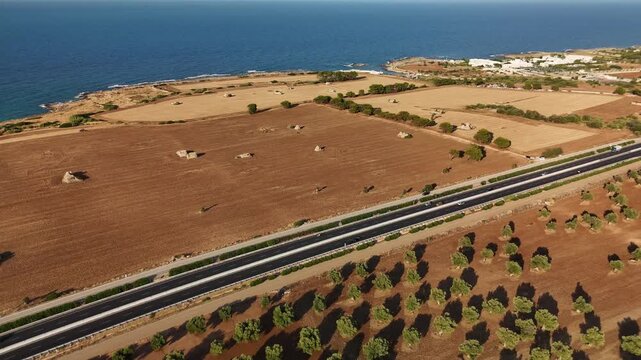 Aerial drone shot of olive tree plantations and farmlands in southern Italy, Puglia region