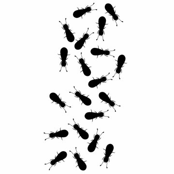 black ants marching on white background clip art preview