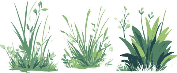 Fototapeta premium Green grass on white background
