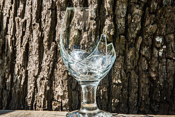 Broken shattered wine glass on wooden planks with a tree bark background