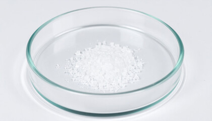 Crystalline salt particles scattered in petri dish on white background. Laboratory chemistry.