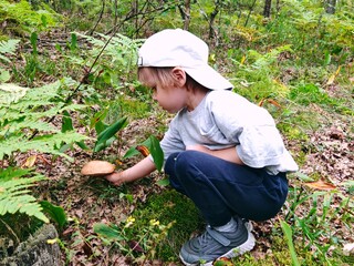 Children walking in the forest and gather mushrooms. happy child is picking mushrooms in the forest