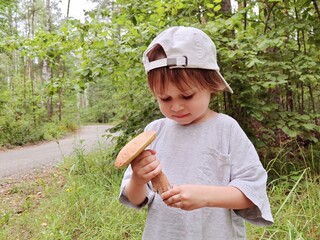 Children walking in the forest and gather mushrooms. happy child is picking mushrooms in the forest