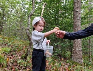Children walking in the forest and gather mushrooms. happy child is picking mushrooms in the forest