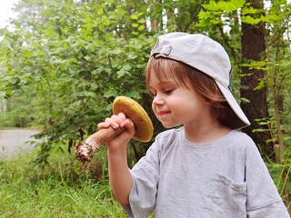 Children walking in the forest and gather mushrooms. happy child is picking mushrooms in the...