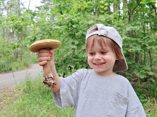 Children walking in the forest and gather mushrooms. happy child is picking mushrooms in the...