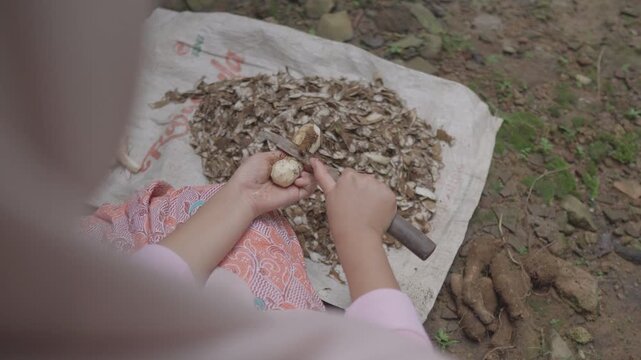 Woman peeling taro