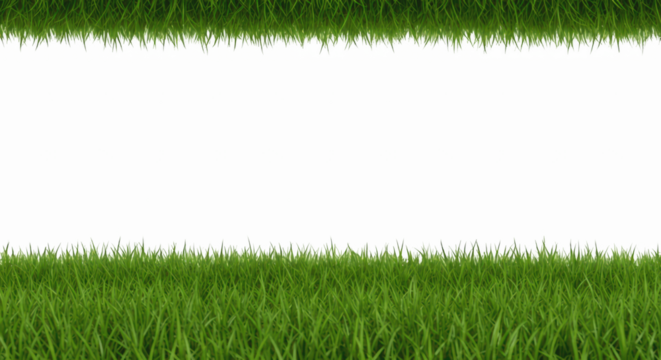 Green Grass Border– PNG, realistic grass png, lawn edge png, grass strip png, summer grass png, fresh grass png, garden grass
