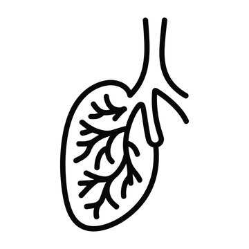 Lymph Node Icon, Vector, Illustration, Icon, Outline, Line Art, Silhouette, Logo, White Background.