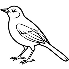 Nightingale line art vector