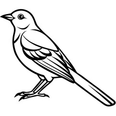 Nightingale line art vector