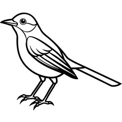 Nightingale line art vector