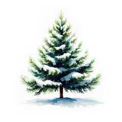 Fototapeta premium Fluffy green Christmas tree. Watercolor digital illustration. Snow-covered coniferous tree isolated on white background. Traditional New Year Christmas pattern