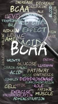 Bcaa being studied, examined - under close inspection. Most important subjects and ideas closely related to bcaa written as a word cloud on a blackboard inspected by a magnifying glass. Can be looped