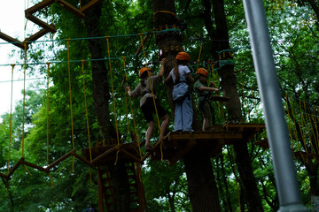 Kids navigate a treetop adventure course in a vibrant forest setting during a sunny day