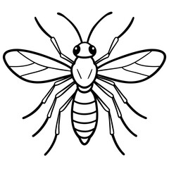 Gnat line art vector
