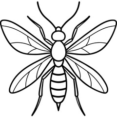 Gnat line art vector